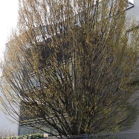 Il Melograno アパート *